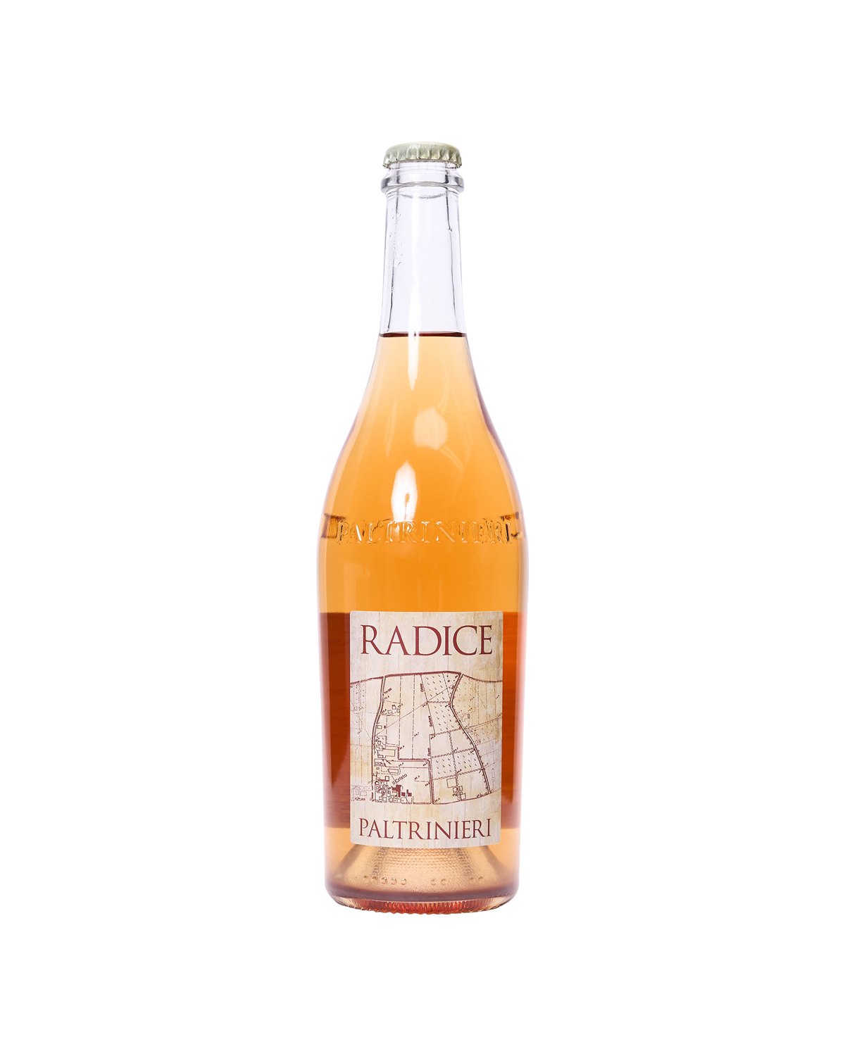 Radice