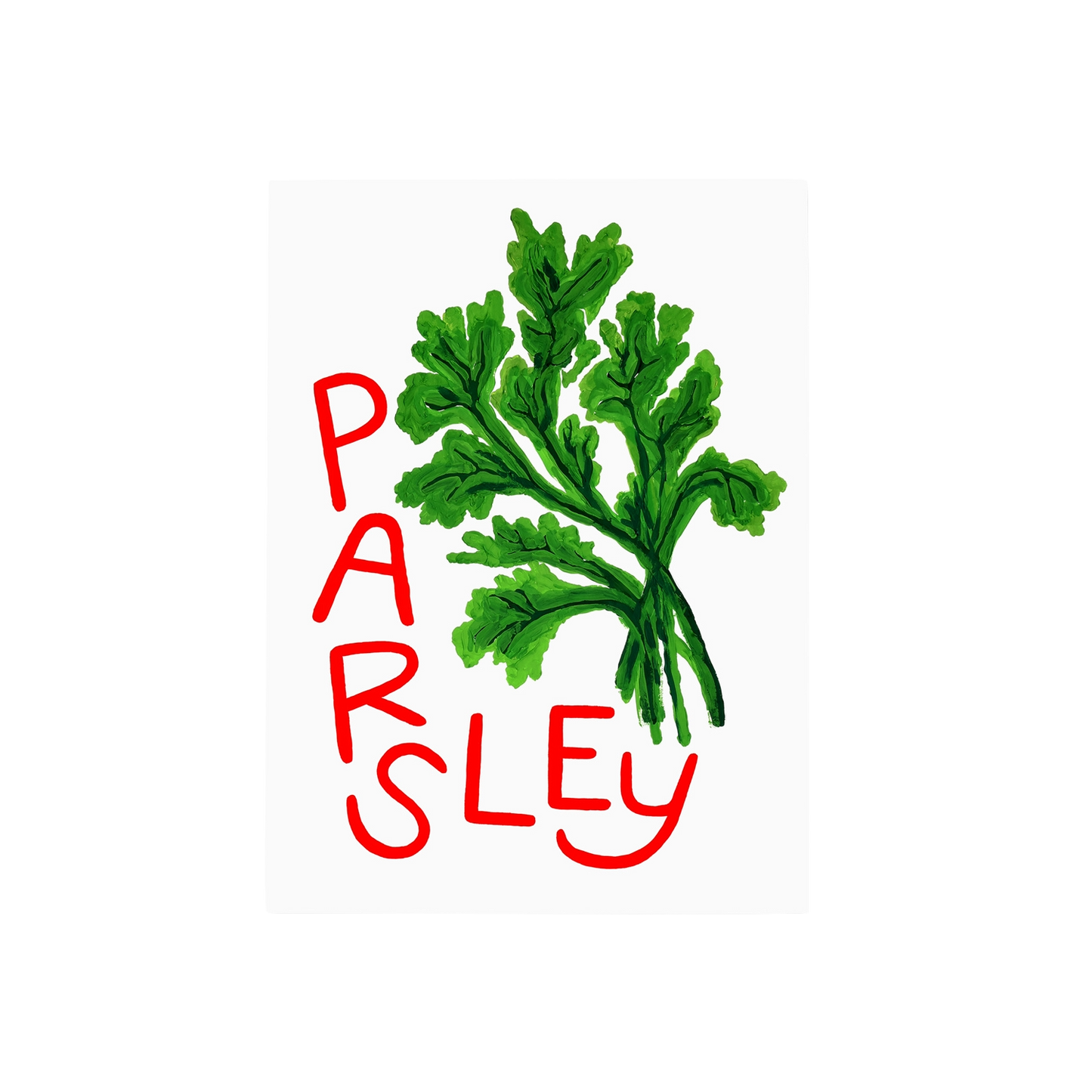 Parsley Herb Print