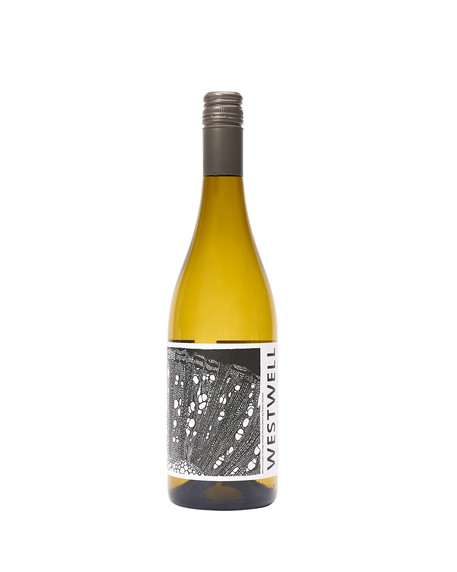 English White Wine, Ortega, 2023 – DELLI