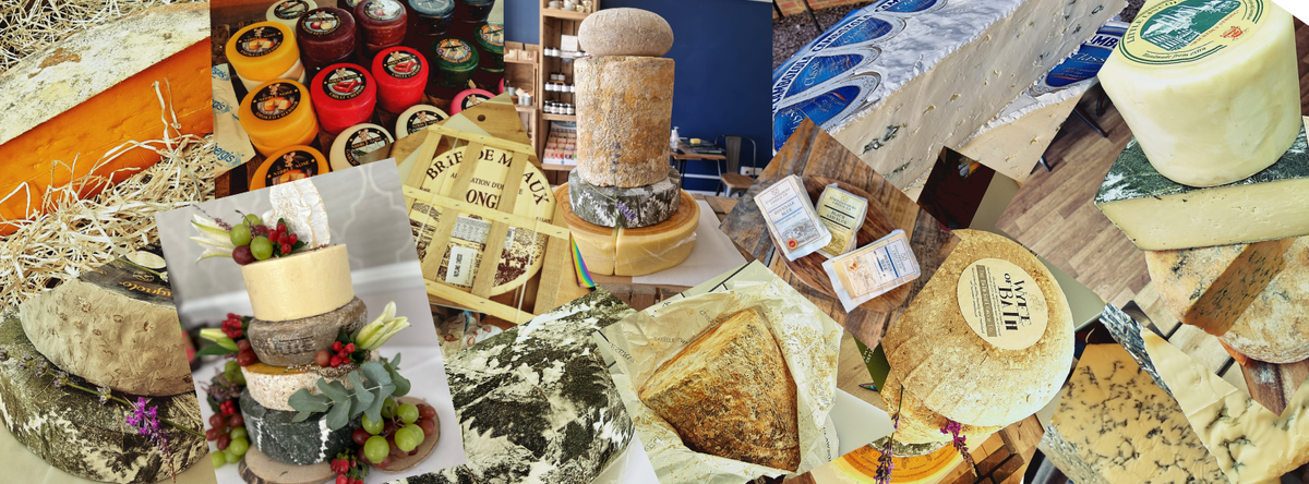 the little cheese company