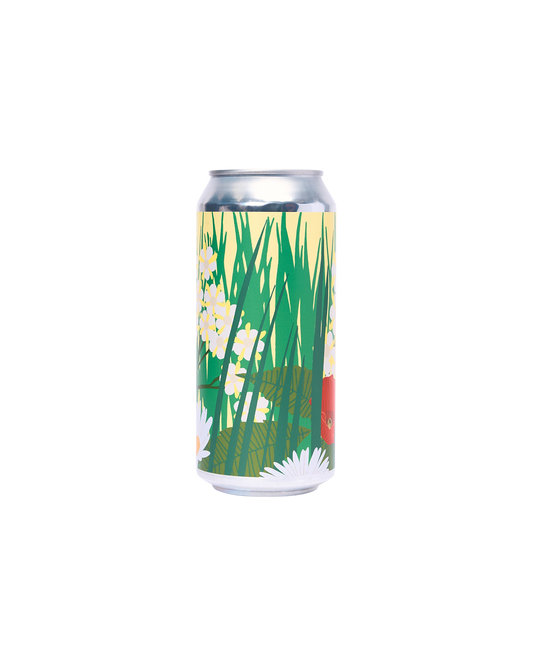 Dayglow Hedgerow: Elderflower Saison
