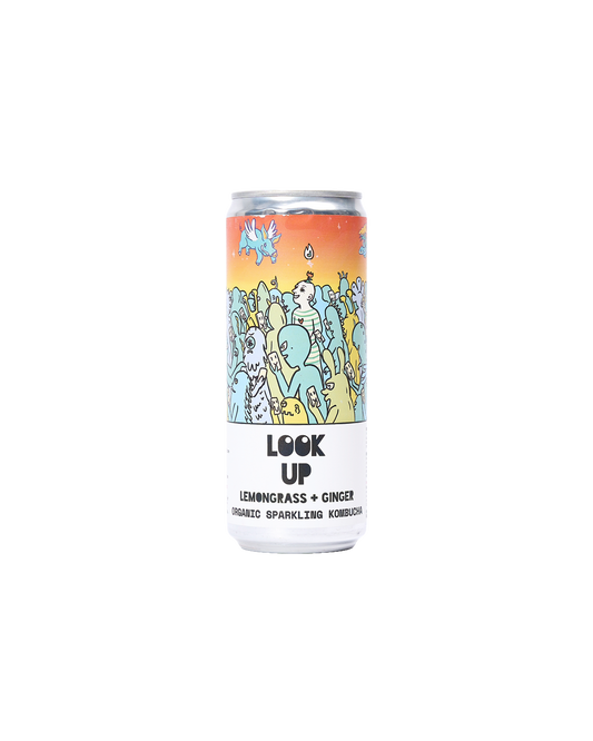 Look Up: Lemongrass & Ginger Organic Kombucha Soda