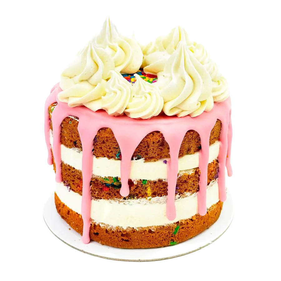 Funfetti Bento Cake - 5 inch