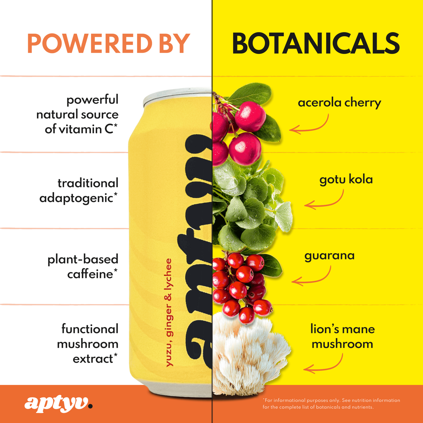 Aptyv Mixed Case - Focus & Hydration Functional Drinks 4 x 330ml
