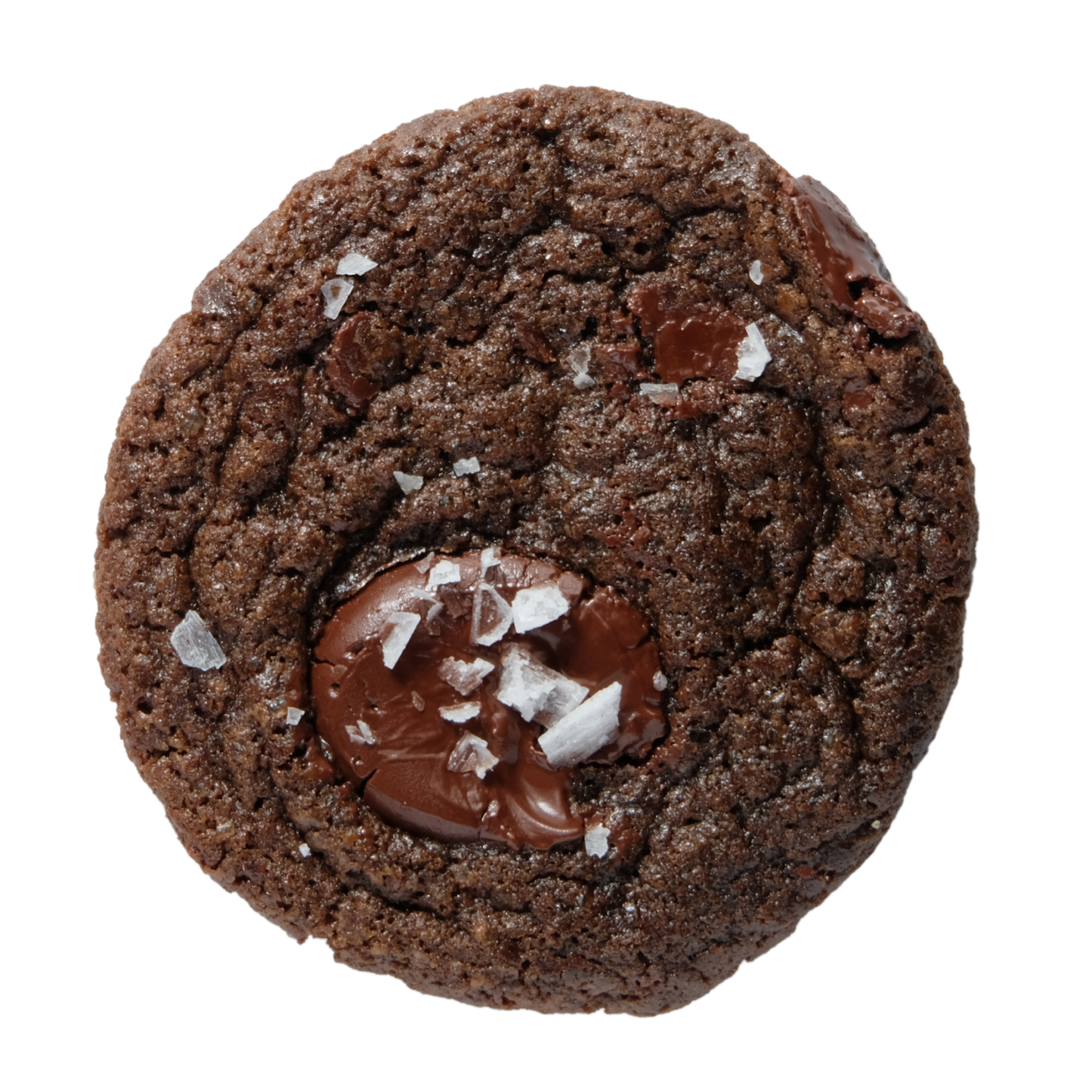 Double Chocolate Frozen Cookie Dough