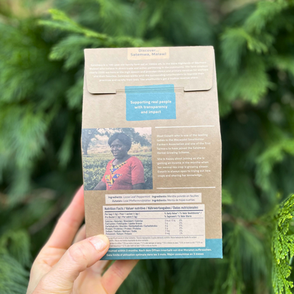 Pure Peppermint - 12 Bio Bags in compostable wrapper