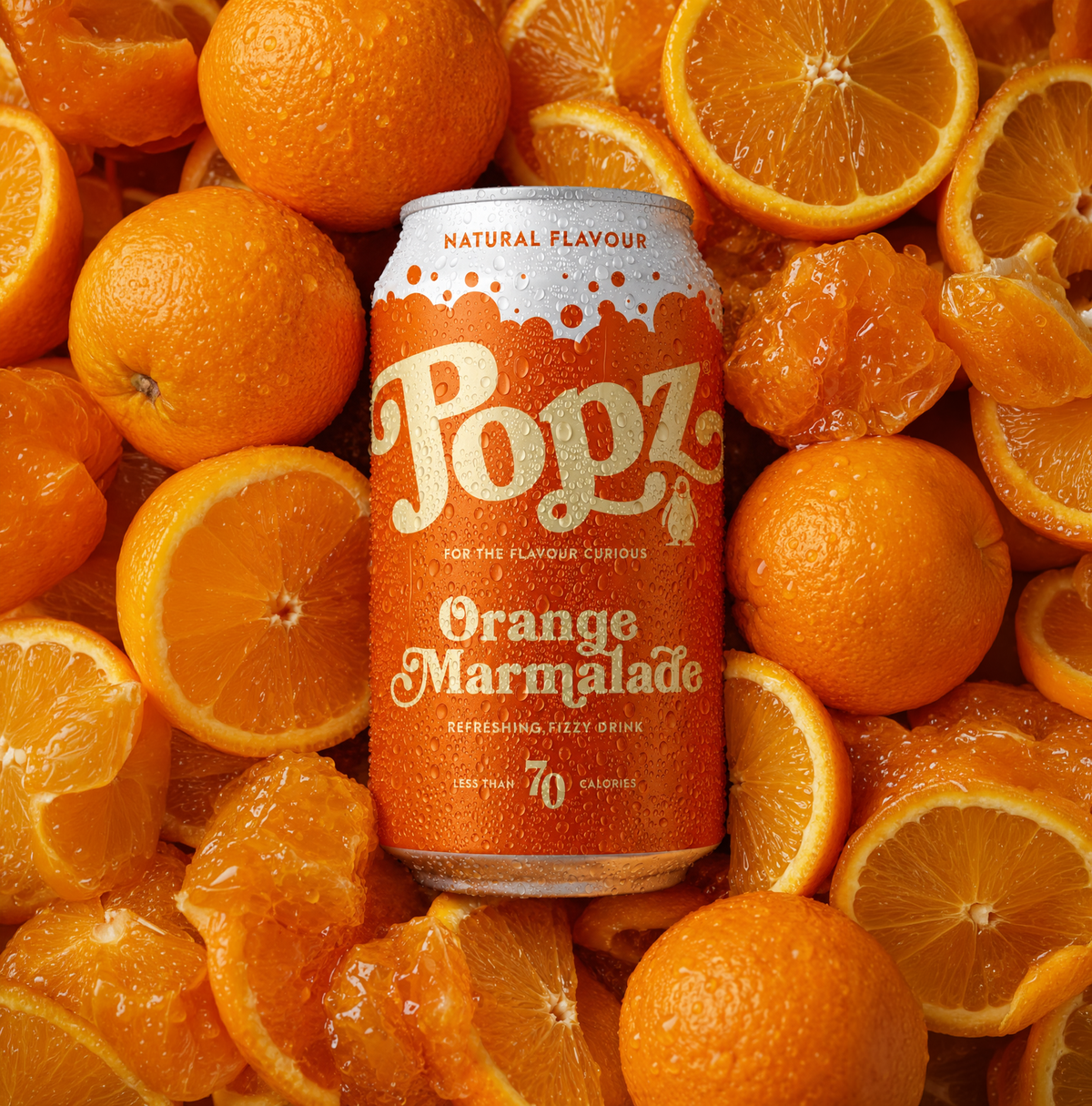 Orange Marmalade Fizzy Drink (12 cans)