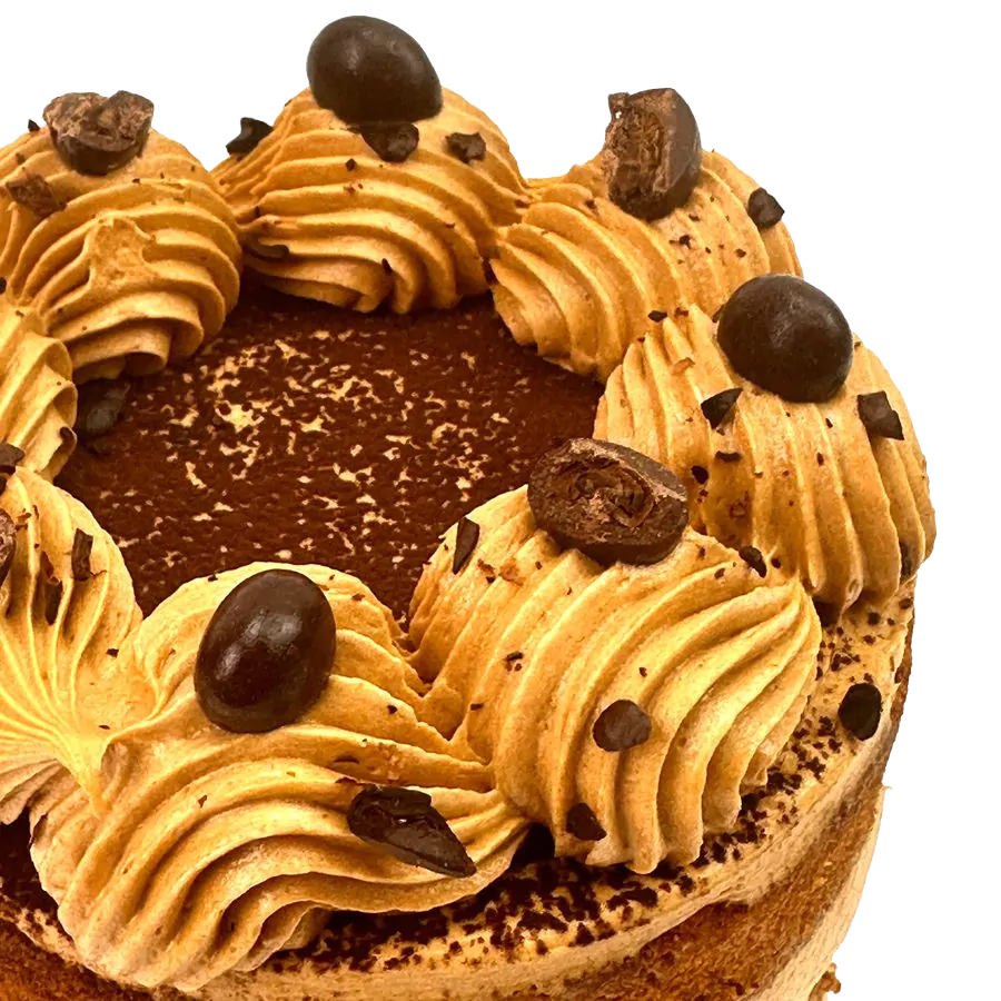 Coffee Bento Cake - 5 inch