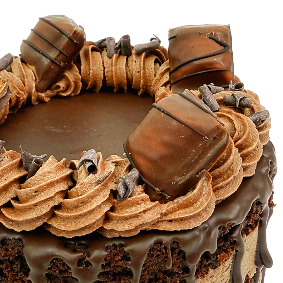 Ultimate Chocolate Bento Cake - 5 inch