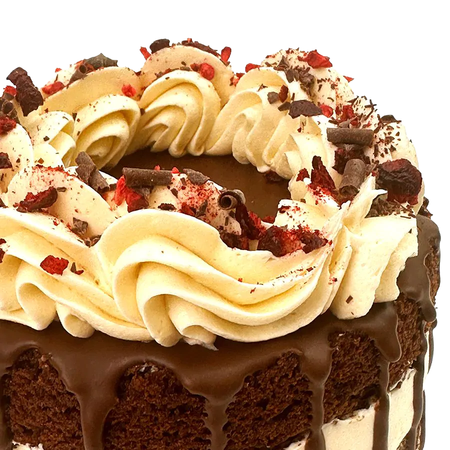 Black Forest Bento Cake - 5 inch