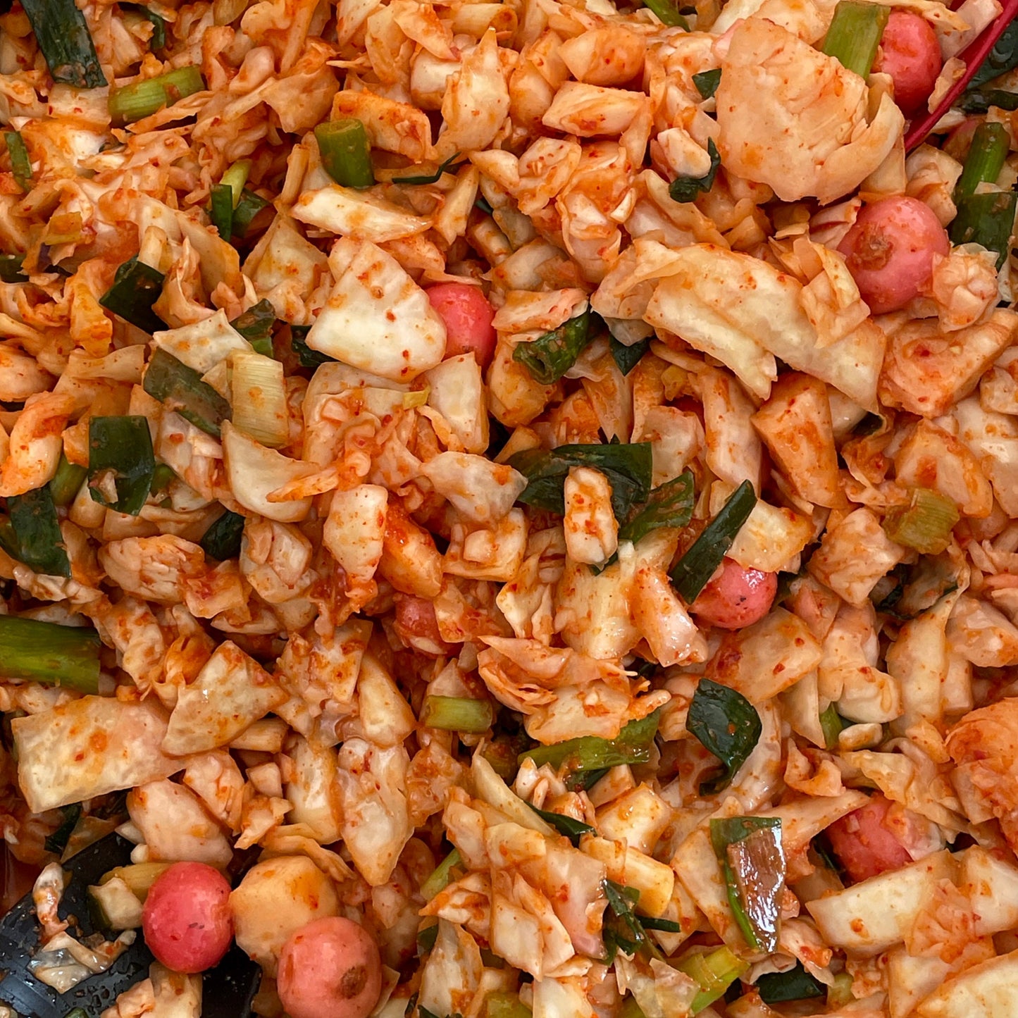 Bermondsey Gut Kimchi 000 Cabbage Universal Kimchi