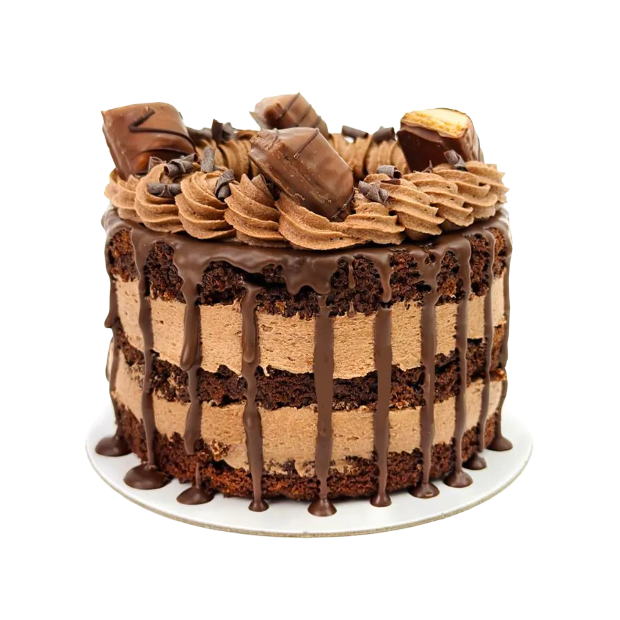 Ultimate Chocolate Bento Cake - 5 inch