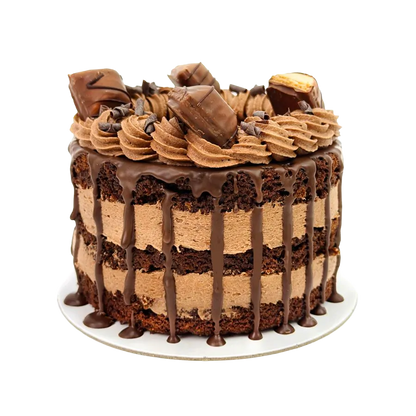 Ultimate Chocolate Bento Cake - 5 inch
