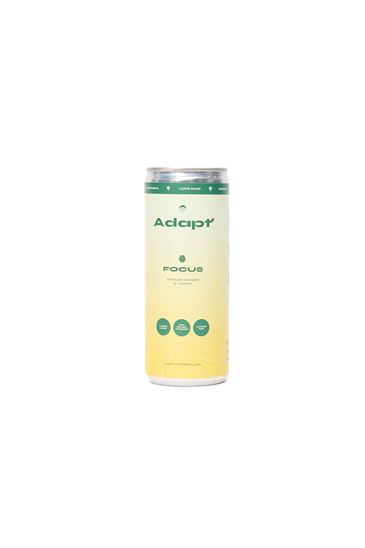 Ginger & Lemon Nootropic Soda