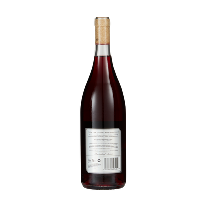 Mid-Strength Syrah Grenache Wine (5%)