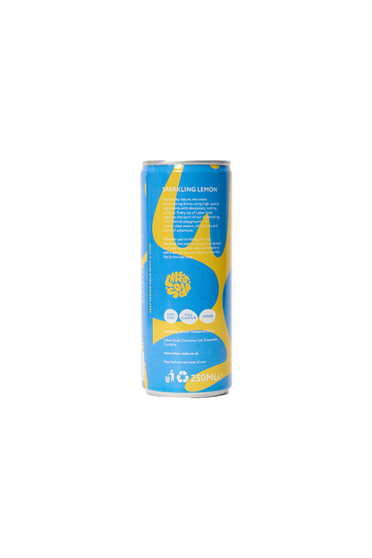 Sparkling Lemon Fruit Soda