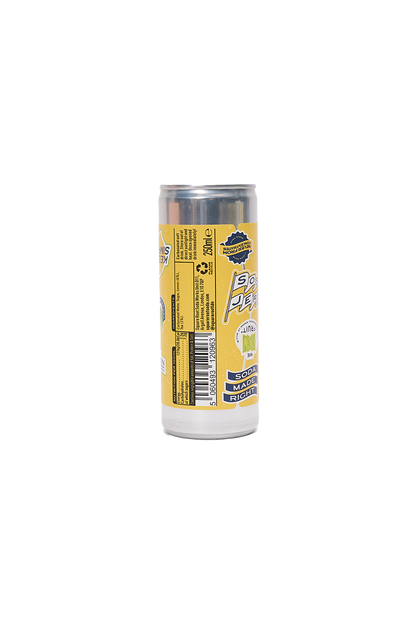 Iced Tea Lemonade Can