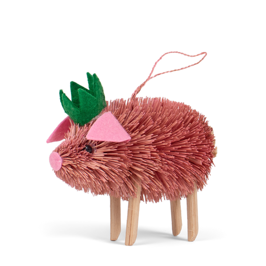 Bristle Pig Decoration