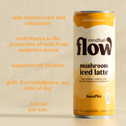 Mindfuel FLOW® RESTORE 250ml – Banoffee Adaptogen Drink for Stress & Mood Support
