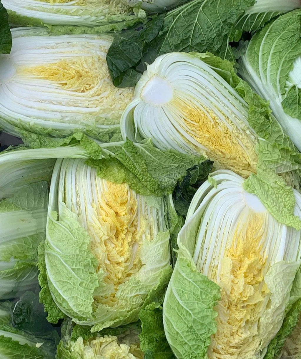 Vegan Kimchi