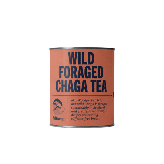 Wild Foraged Chaga Tea