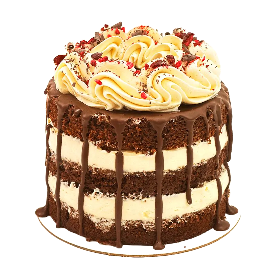 Black Forest Bento Cake - 5 inch