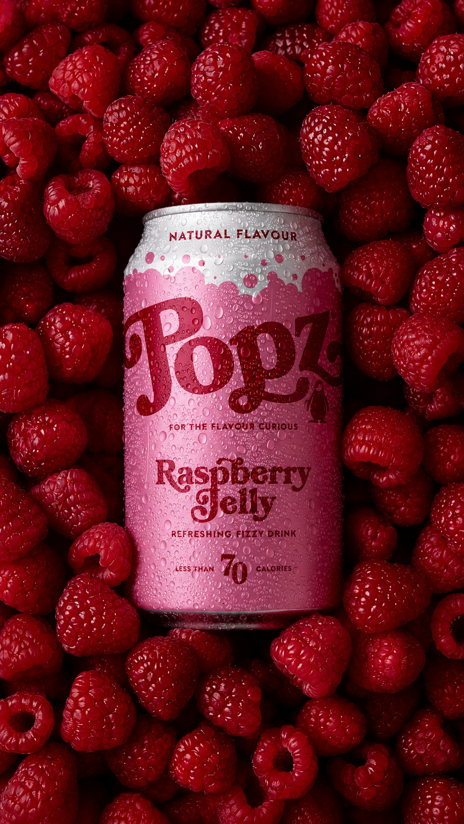 Raspberry Jelly Fizzy Drink (12 cans)