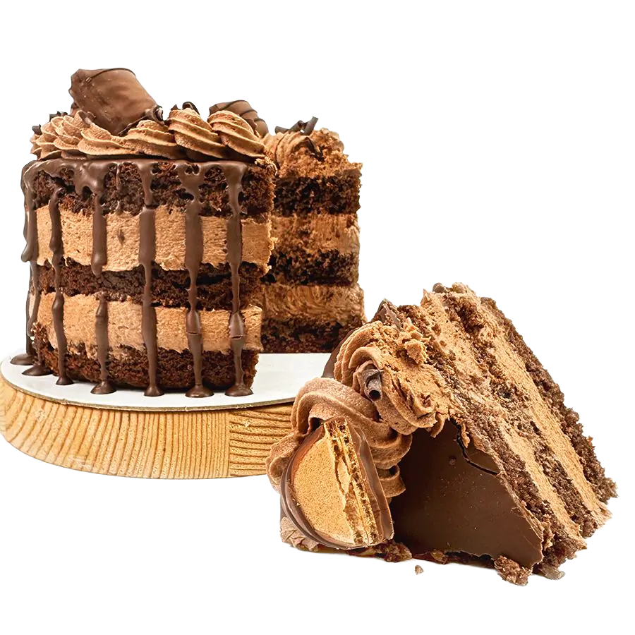 Ultimate Chocolate Bento Cake - 5 inch