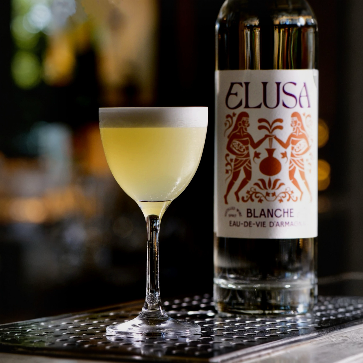 Elusa Blanche