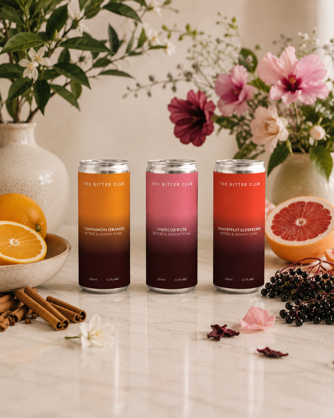 Cinnamon Orange Bitters & Skinny Tonic (12 Pack)