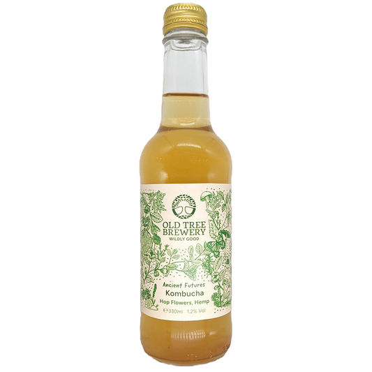 Ancient Futures Kombucha 330ml