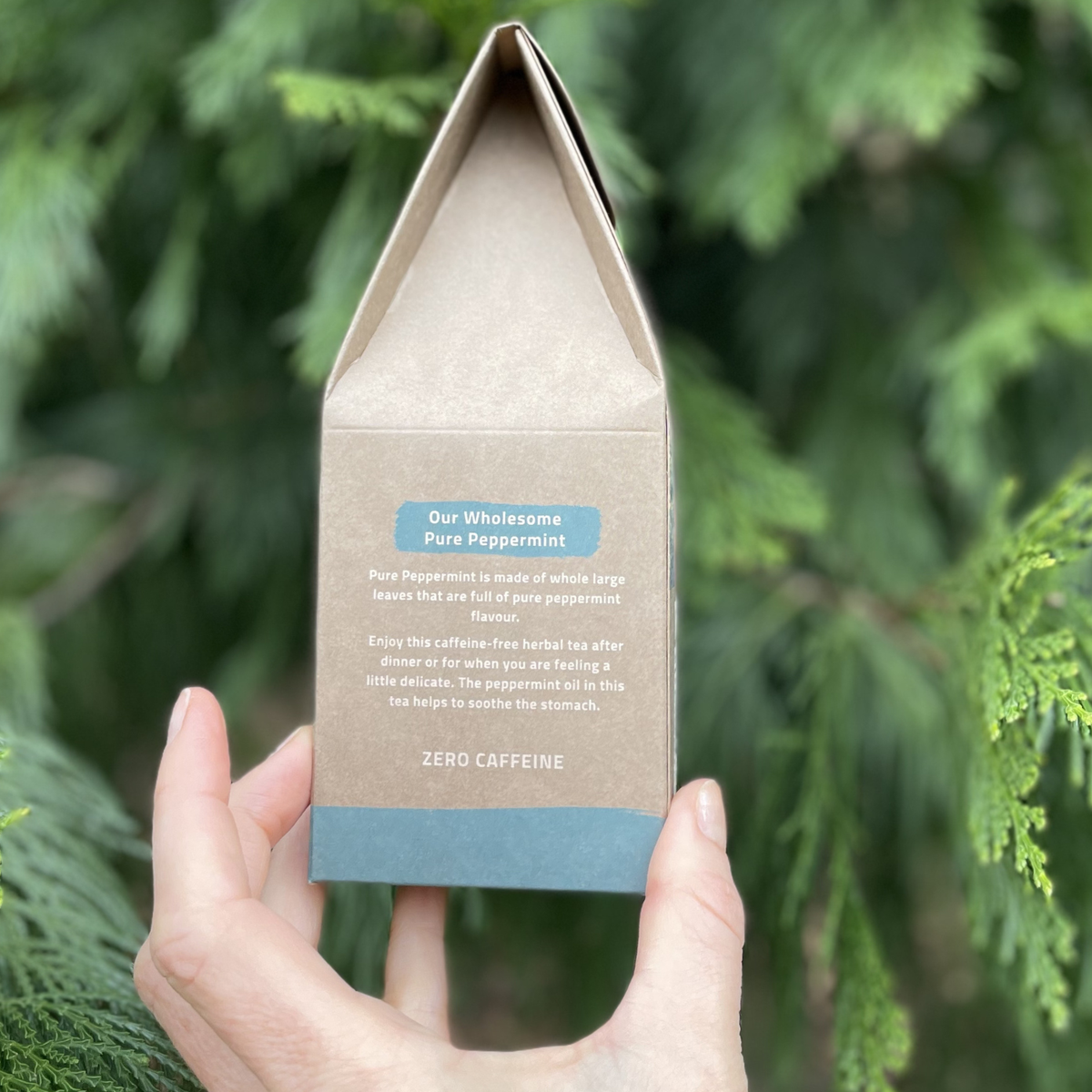 Pure Peppermint - 12 Bio Bags in compostable wrapper