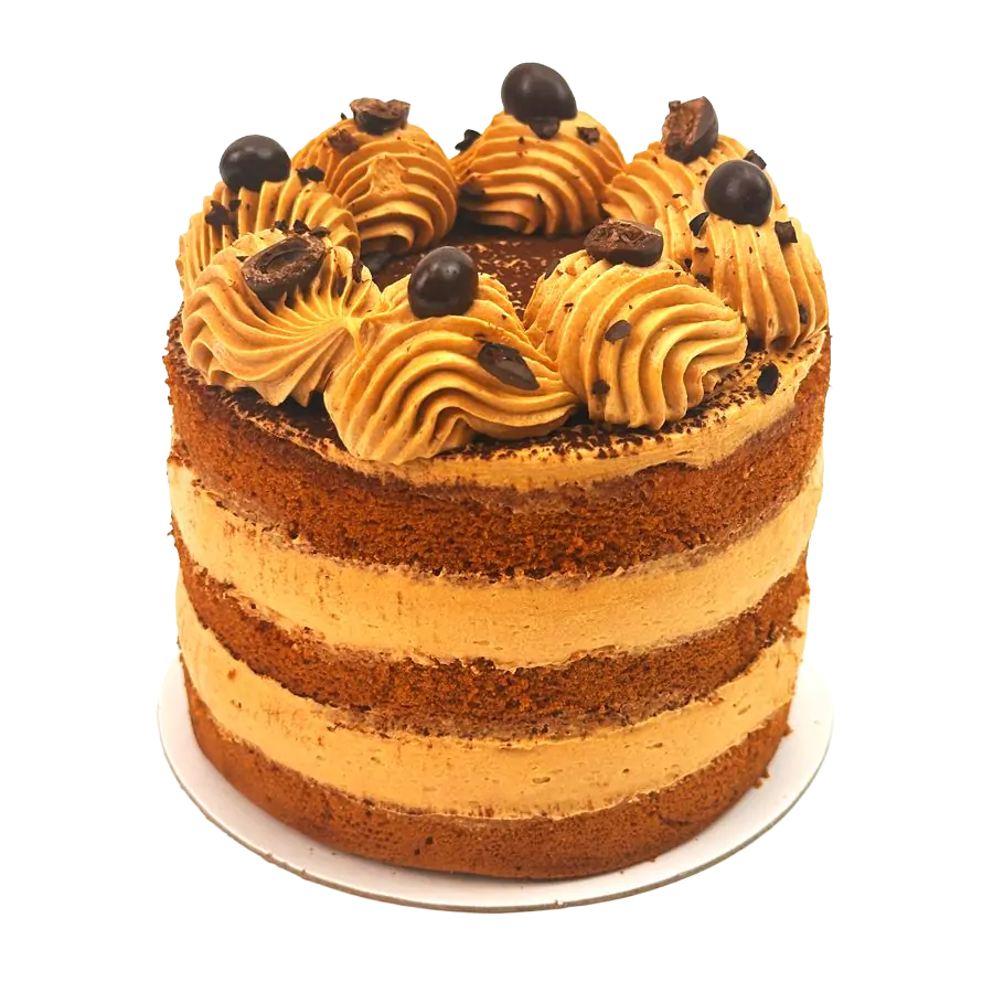 Coffee Bento Cake - 5 inch