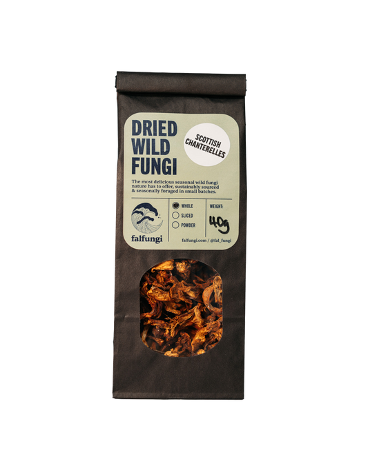 Dried Wild Fungi - Scottish Chanterelles