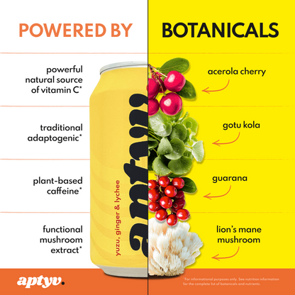 Aptyv Enliven – Focus Functional Drink 4 x 330ml