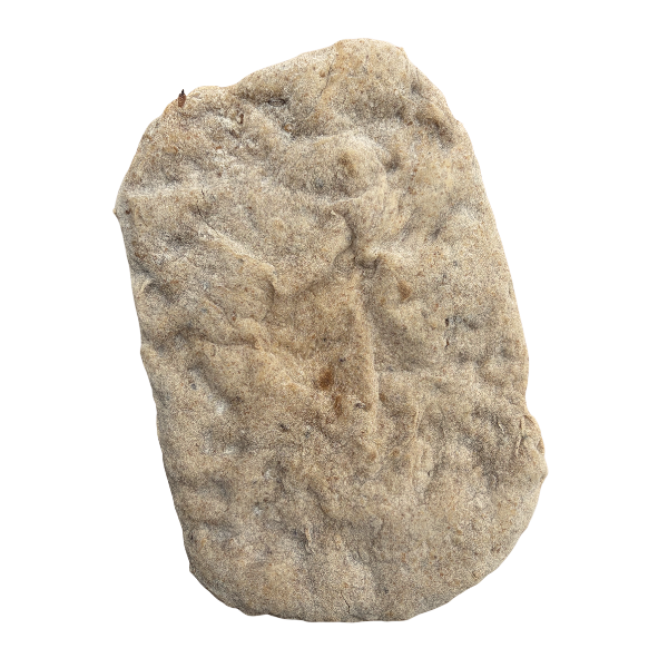 Wholemeal Pinsa Romana Sourdough Ambient Flatbread